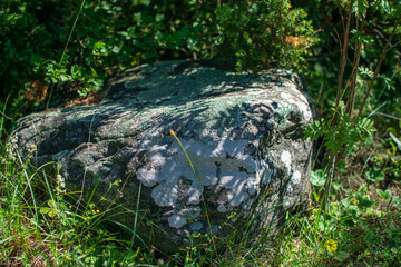 large granite rock single in nature