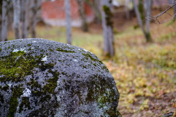 large granite rock single in nature