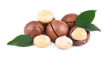 Macadamia nuts with leaves, isolated on white background. Shelled and unshelled macadamia.