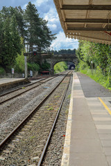 Fototapeta na wymiar Train Line and Bridge