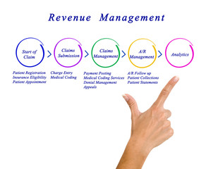 Revenue  Management Process