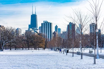 Fotobehang Besneeuwd park in Chicago met Skyline © James