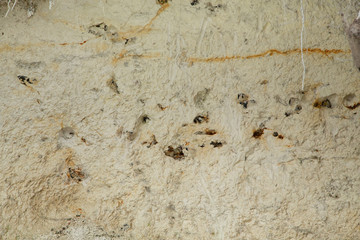 Texturen Sand + Stein