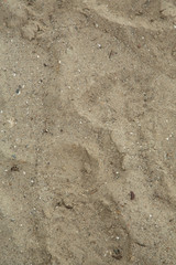 Texturen Sand + Stein