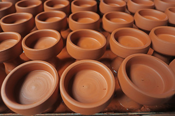 Profosyonel &ccedil;&ouml;mlek at&ouml;lyesi ve &ccedil;amurdan yapılanlar