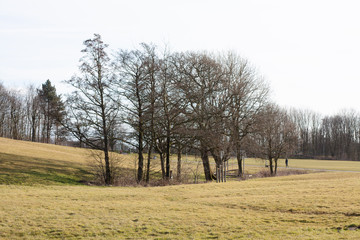 Obraz premium Landscape with Trees in the Fall and Winter in England
