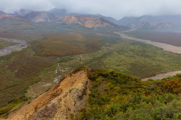 Obraz na płótnie Canvas Scenic Denali National Park Alaska Landscape