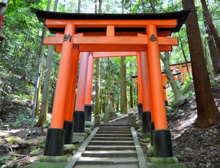 Fujimi Inari Shrine in Kyoto