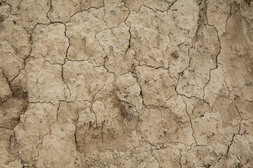 Texturen Sand + Stein