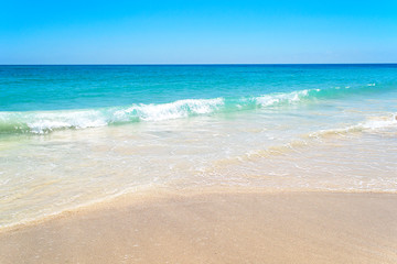 Seashore. Sea coast. Sandy beach