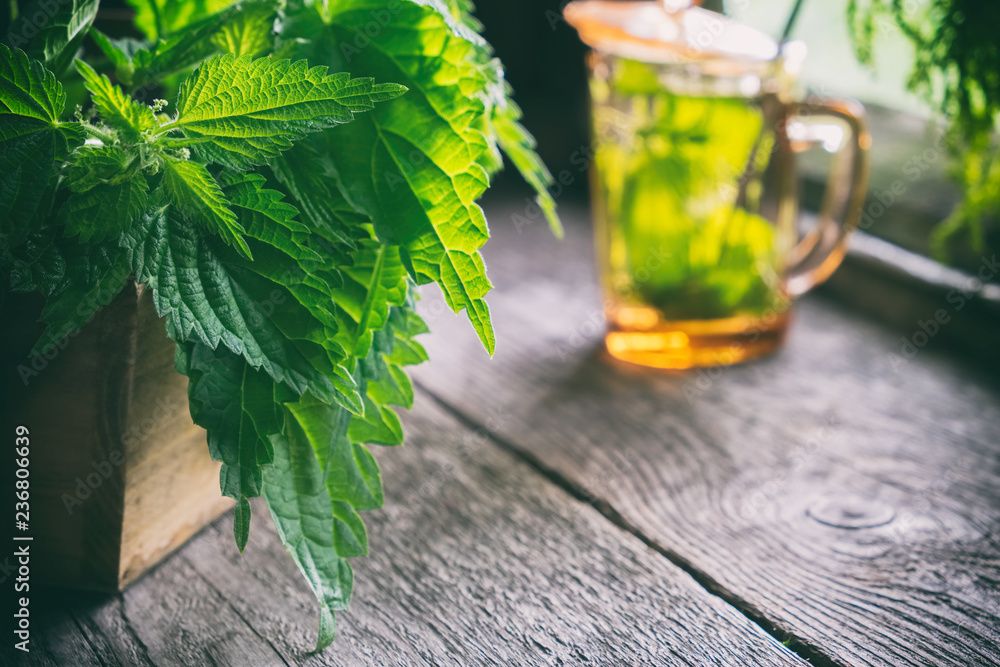 Wall mural bunch of a nettle plants in a wooden box and glass of healthy nettle tea not in focus on old wooden 