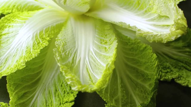 Fresh green leaves rotating on dark background. Close up.