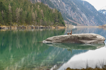 Bank mit Aussicht auf einem Fels inmitten eines Sees