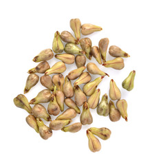 Top view of grape Seed isolated on white background