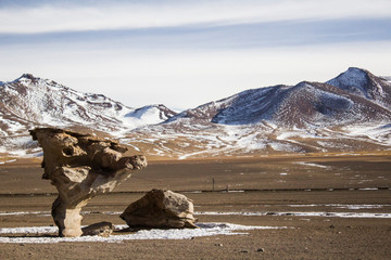 Fototapeta na wymiar Rock Tree in a frozen desert with snow peaks