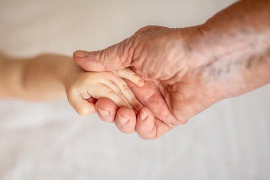 Hands Of Young Great-grandson And Old Great-grandmother. Happy Family Concept. Beautiful Conceptual Image Of Maternity. Selective Focus