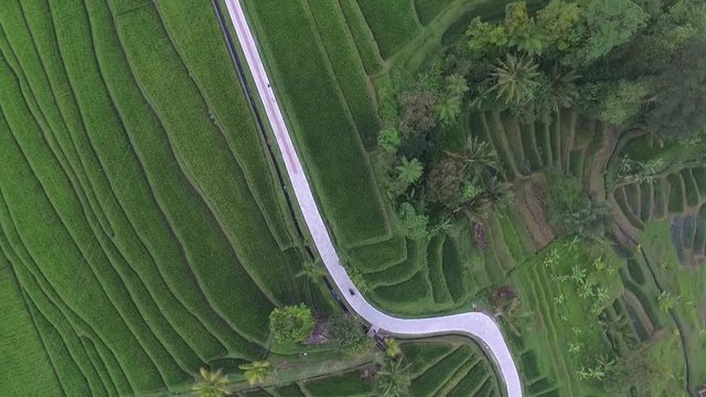 Aerial: view amazing bali road biker