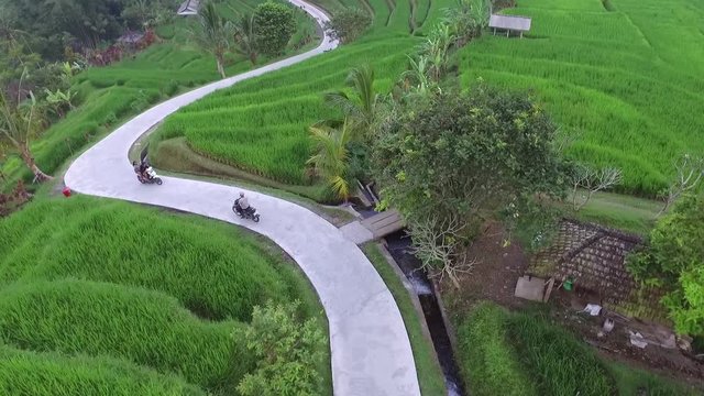 Aerial: view amazing bali road biker