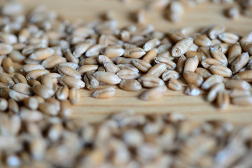 Scattered wheat grains on wooden background close up