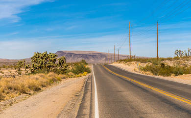 US Road Landscape