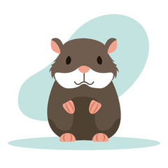 Obraz na płótnie Canvas hamster rodent animal