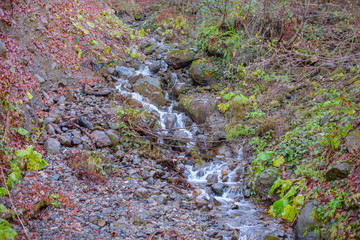 stream in the mountains