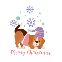 dog merry christmas card