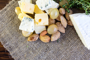 Different types of cheeses, almond and grapes. Tasty snacks.