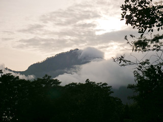 Tops of the mountains covered with forest in clouds and fog. Slopes of the mountains are covered with rainforest Bali, Indonesia. Mountain landscape, sky and clouds. Travel concept