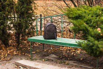 Brown leather backpack on a wooden bench in the city park with landscape view of trees. Travelling, walking, vintage concept. 
