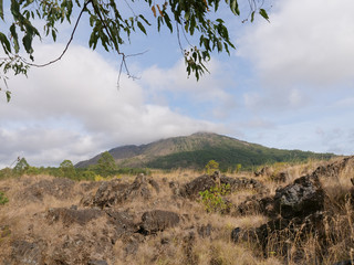 Volcano, mountain covered forest, sky with clouds, traces of lava on the ground. Mount Batur Volcano in Kintamani. Mountain landscape, Bali. Travel concept.