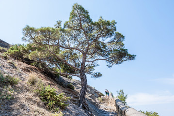 Crimea. New World. Galitsyn trail