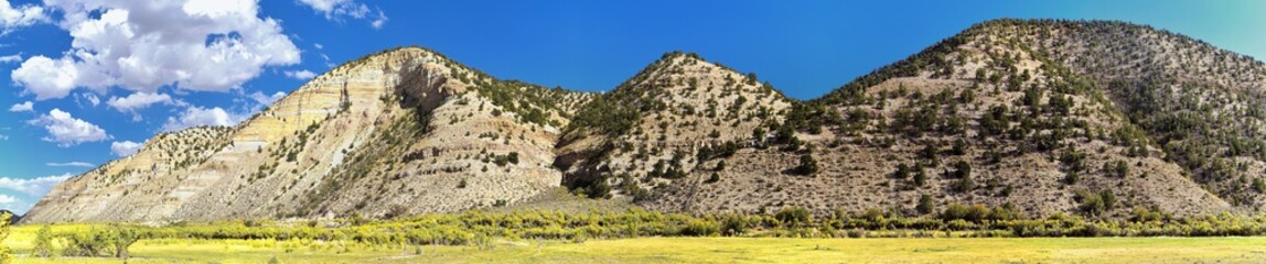 Late Summer early Fall panorama forest views hiking through trees in Indian Canyon, Nine-Mile Canyon Loop between Duchesne and Price on US Highway 191, in the Uinta Basin Range of Utah United States, 