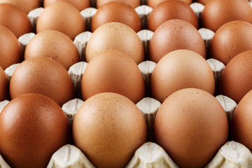 chicken eggs in a tray