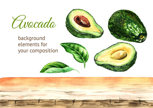 Avocado  background elements. Watercolor hand drawn illustration  isolated on white background