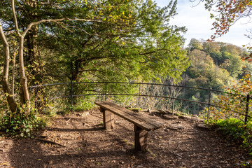 A bench in the grounds of Blaise Castle in Bristol. 