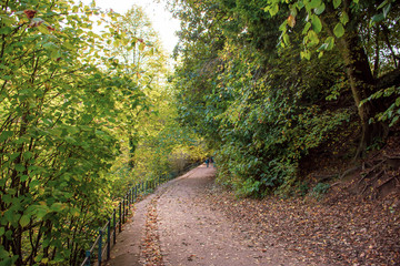 Fototapeta na wymiar Blaise Castle Estate - path in woodland
