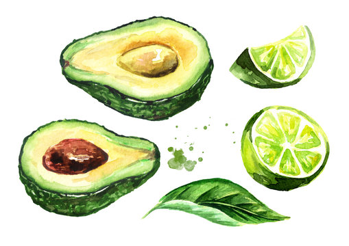 Fresh ripe avocado and lime set. Watercolor hand drawn illustration, isolated on white background