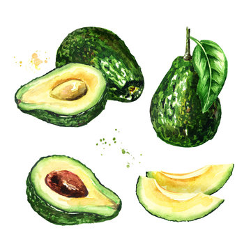 Fresh ripe avocado set. Watercolor hand drawn illustration,  isolated on white background