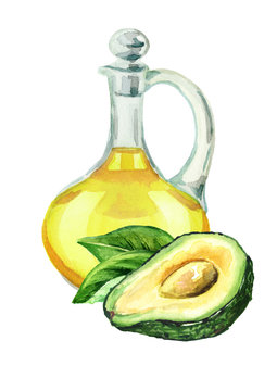 Fresh ripe avocado with jug of avocado oil, Watercolor hand drawn illustration isolated on white background