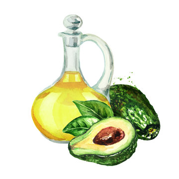 Fresh ripe avocado with jug of avocado oil, Watercolor hand drawn illustration, isolated on white background