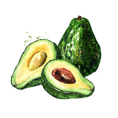 Fresh ripe avocado, Watercolor hand drawn illustration isolated on white background