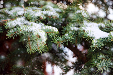 Naklejka na ściany i meble Closeup of Christmas tree with snowflake. Christmas and New Year holiday background