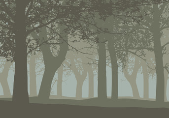 Realistic illustration of a deciduous deep forest with trees and with mist gray sky