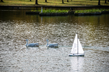 competición de modelismo de vela o competición de modelismo naval