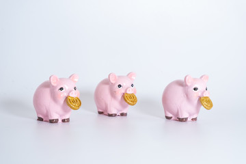 Figures of pigs with coins. Symbol of 2019