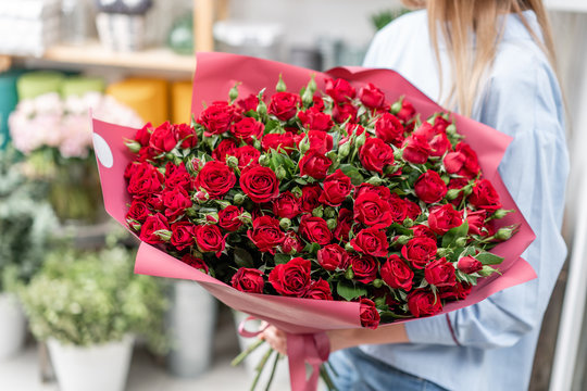 Fototapeta Big luxury bright bouquet in the hands of a cute girl. One hundred of garden red spray roses. Color passionately scarlet, Autumn mood