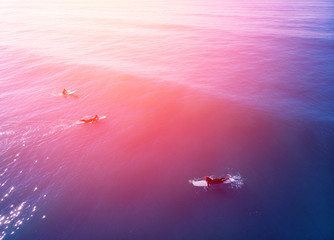 Fototapeta premium Team of surfers are preparing to ride big wave on board, blue water, summer