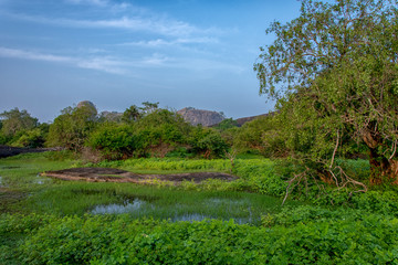 Beautiful sri lanka