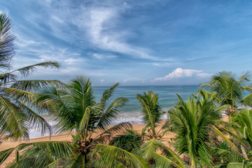 Fototapeta na wymiar beautiful beaches of sri lanka